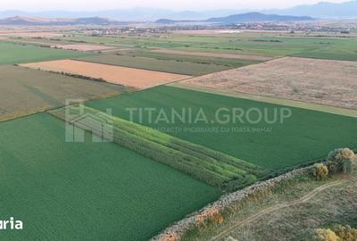 Teren de 8700 mp, în Bod