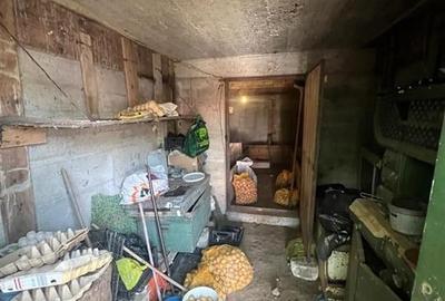 Casă individuală cu 4 camere cu Teren 9168 Mp în Șișterea - 21
