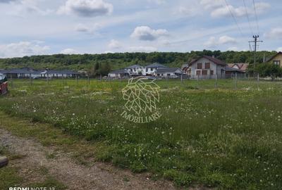 Teren Construcții intravilan de 800 mp, în Unirea - 3