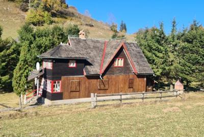 Casă cu 7 camere cu Teren 2000 Mp în Dâmbovicioara - 4