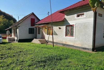 Casă cu 4 camere în Barbura - 6