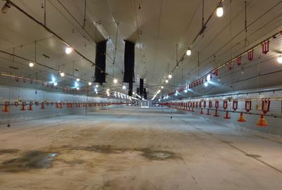 Spațiu industrial, de 2,100 mp, în Tărlungeni - 7