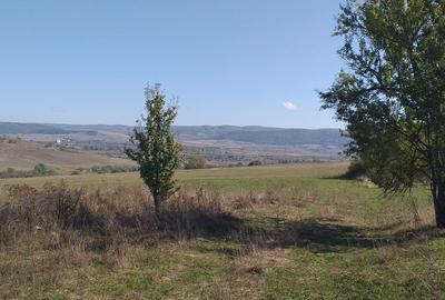 Teren agricol extravilan de 5000 mp, în Apața - 7
