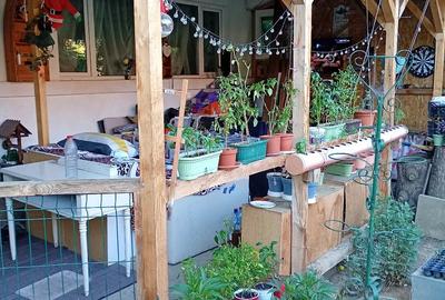 Casă cu Teren 120 Mp în Colentina - 5