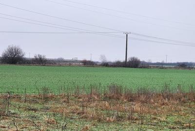 Teren agricol extravilan de 14500 mp, în Giroc - 1