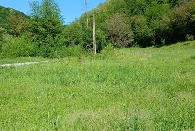 Teren de 3848 mp, în Cărmăzănești - 3