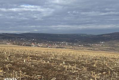 Teren de 990 mp, în Iris - 3