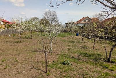 Teren de 845 mp, în Oreavul - 1
