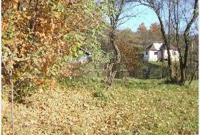Teren de 1000 mp, în Drăgăneasa - 2