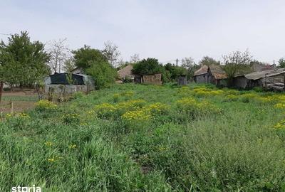 Teren de 1292 mp, în Amara