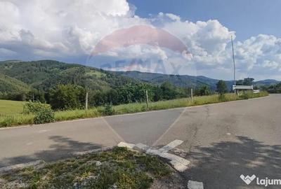 Teren de 128948 mp, în Munteni - 9