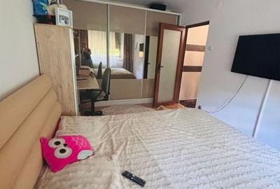 Apartament cu 2 camere decomandat în Brazda lui Novac - 8