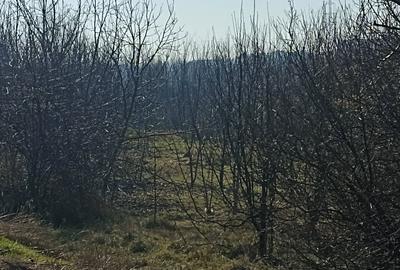 Teren agricol intravilan de 606 mp, în Pantelimon - 5