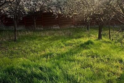 Casă individuală cu 3 camere cu Teren 2000 Mp în Bârnova