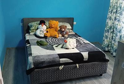 Casă cu 2 camere cu Teren 300 Mp în Bârnova - 2
