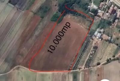Teren de 10000 mp, în Central - 5