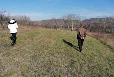 Casă cu 4 camere în Budănești - 6