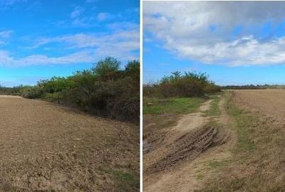 Teren de 22900 mp, în Poienarii Burchii