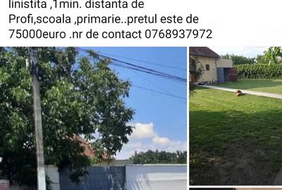Casă cu Teren 1439 Mp în Dudeștii Vechi
