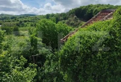 Casă cu 3 camere cu Teren 1500 Mp în Gemenea-Brătulești - 9