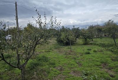 Casă cu 4 camere cu Teren 1917 Mp în Corbu - 3