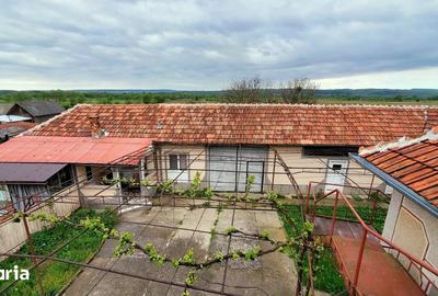 Casă cu 5 camere cu Teren 4800 Mp în Dobrești - 5
