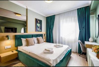 Apartament cu 2 camere decomandat, mobilat în Brazda lui Novac - 13