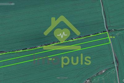 Teren agricol extravilan de 30000 mp, în Torontalului - 1