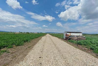 Teren de 500 mp, în Stupini