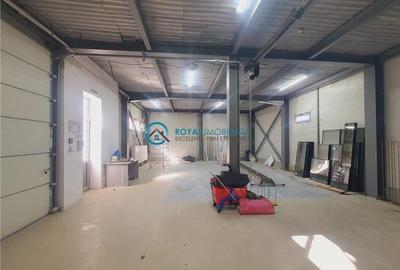 Spațiu industrial, de 260 mp, în Vest - 5