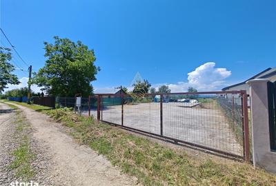 Teren de 1450 mp, în Letea Veche - 4