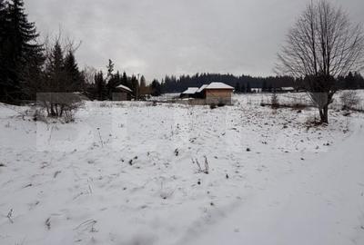 Teren de 10746 mp, în Fundu Moldovei - 2