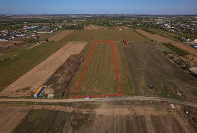 Teren Construcții intravilan de 6525 mp, în Adunații-Copăceni - 2
