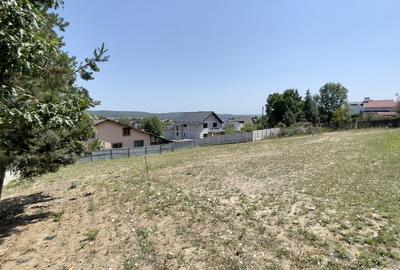Teren Construcții intravilan de 500 mp, în Bascov - 5