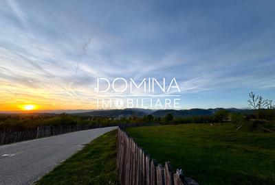 Teren Construcții intravilan de 3262 mp, în Baia de Fier - 5