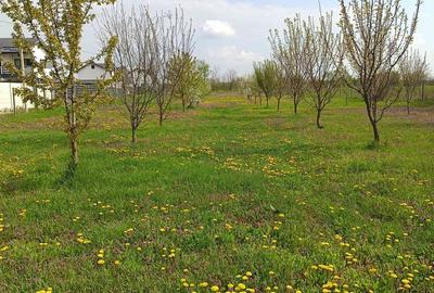 Teren de 6400 mp, în Joița - 1