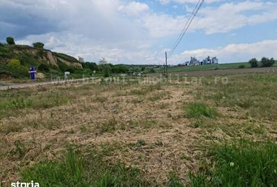 Teren de 17000 mp, în Nufăru