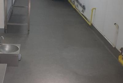 Spațiu comercial, de 493 mp, în Giulești