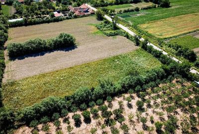Teren de 2900 mp, în Fârliug - 2