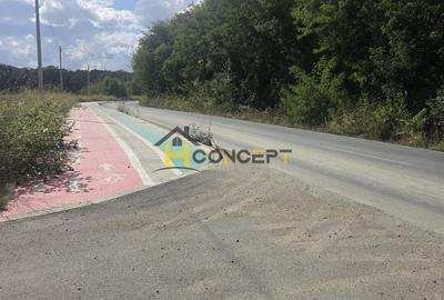 Teren de 10000 mp, în Colibași