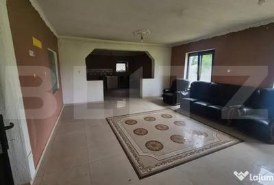 Casă cu 3 camere cu Teren 2918 Mp în Vetiș - 11