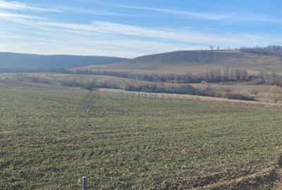 Teren agricol extravilan de 3900 mp, în Mierlău - 2