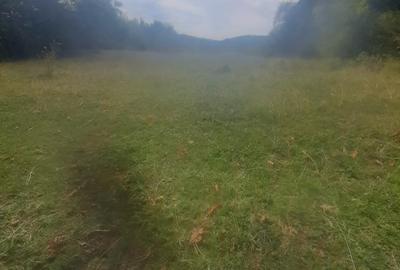 Teren de 12330 mp, în Baia de Fier - 3