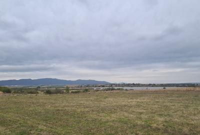 Teren agricol extravilan de 48100 mp, în Hălchiu - 14