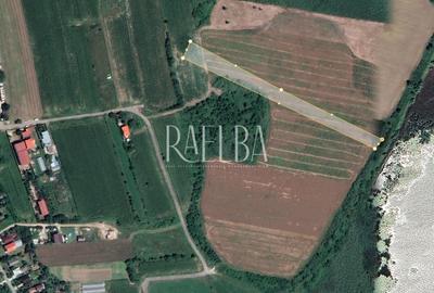 Teren Construcții intravilan de 7974 mp, în Snagov - 1