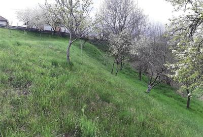 Teren de 1017 mp, în Arpașu de Sus - 2