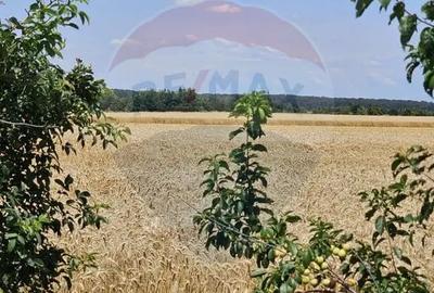 Teren în Central
