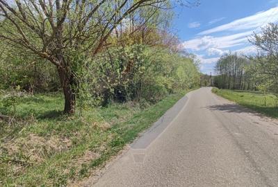 Teren agricol intravilan de 1700 mp, în Borod - 7
