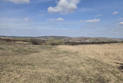 Teren agricol extravilan de 11500 mp, în Pata - 6