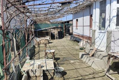 Casă cu 3 camere în Central - 10